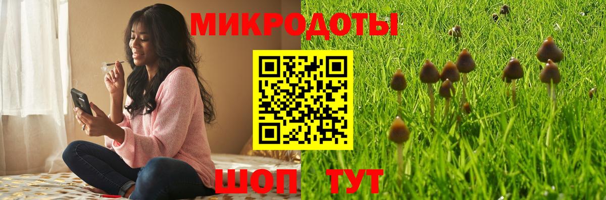 Кинель  где купить наркоту  Вход с VPN  Псилоцибиновые грибы Magic Shrooms 